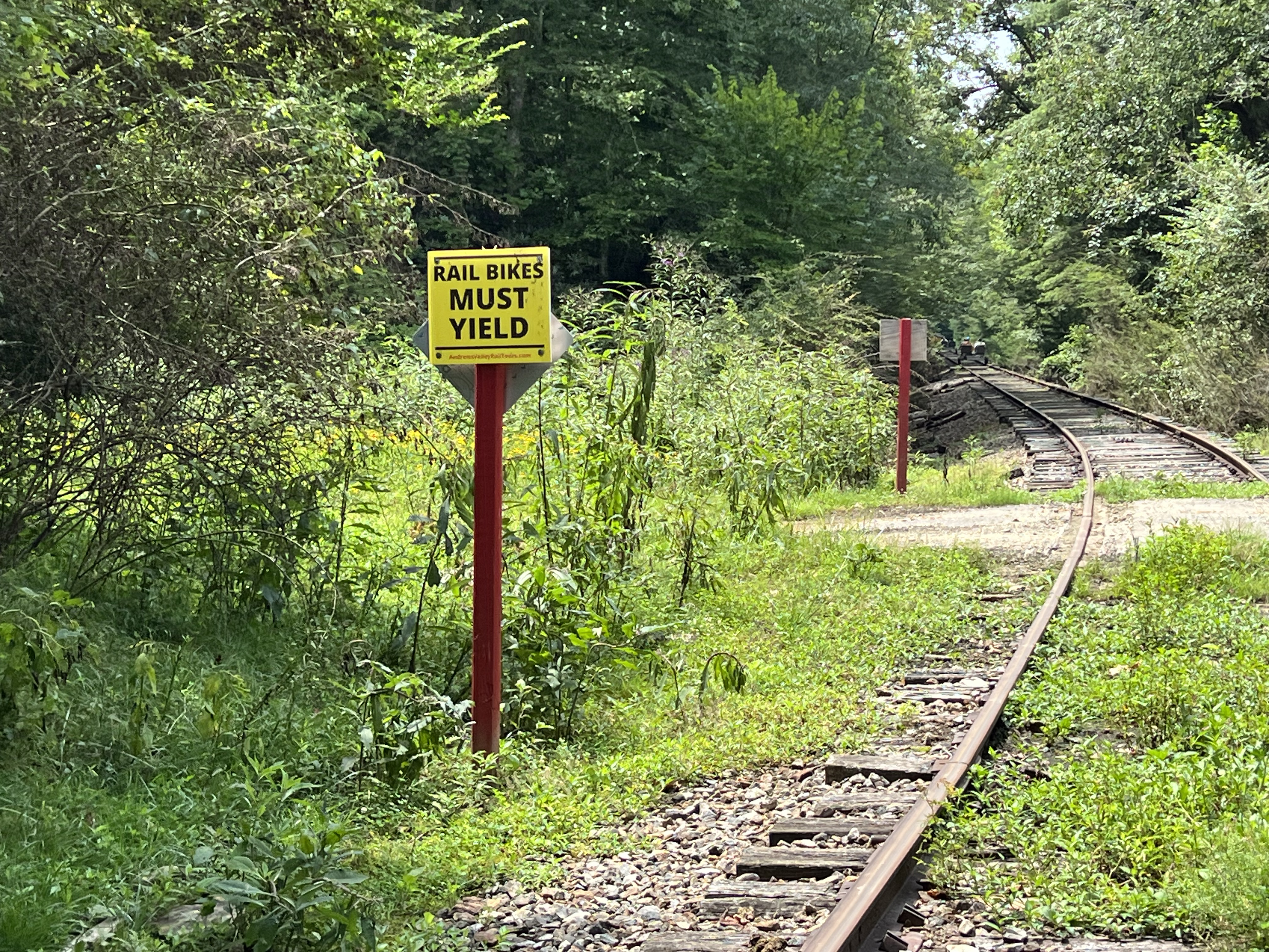 ./2023/11 - Asheville/IMG_9883.jpg